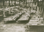 École de Plein-Air, enfants faisant la sieste sous les arbres : photographie noir et blanc.