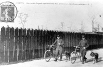 Ronde d'agents de police à bicyclette accompagnés des chiens policiers Mira et Ramonat : reproduction d'une carte postale.