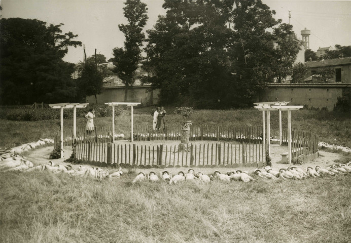 École de Plein-Air, enfants faisant la sieste ou prenant un bain de soleil en cercle autour d'un bac à sable : photographie noir et blanc.