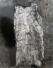 Sans titre n° 1 (écorce)