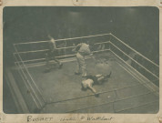 Combat de boxe entre Buchet et Wattelart : photographie noir et blanc.