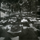 École de Plein-Air, sieste sous les arbres : photographie noir et blanc.