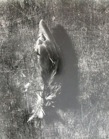 Sans titre n° 2 (plume)