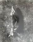 Sans titre n° 2 (plume)