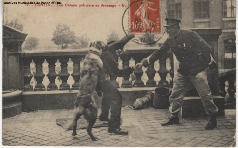 17. Pantin - Les chiens policiers au dressage.