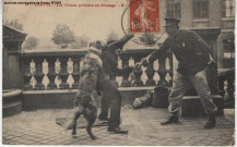 17. Pantin - Les chiens policiers au dressage.