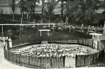 École de Plein-Air, bain de soleil dans le bac à sable : photographie noir et blanc.