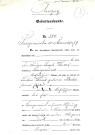 Naissance de Marie Werner [mère de Roger Hasenfratz] le 9 novembre 1979 : photocopie d'un certificat.