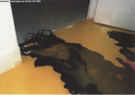 Reproduction d'une oeuvre de Miguel Angel Molina. Exposition, Pavillon (2004).
