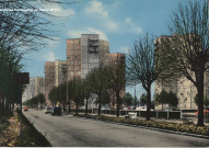 Les tours bleues (Courtillières).