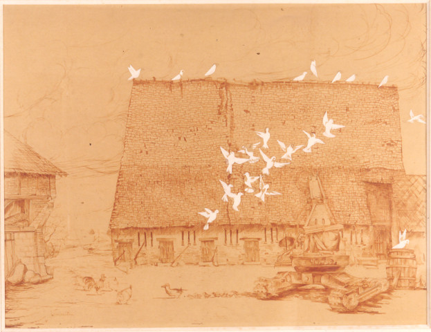 La ferme aux pigeons blancs