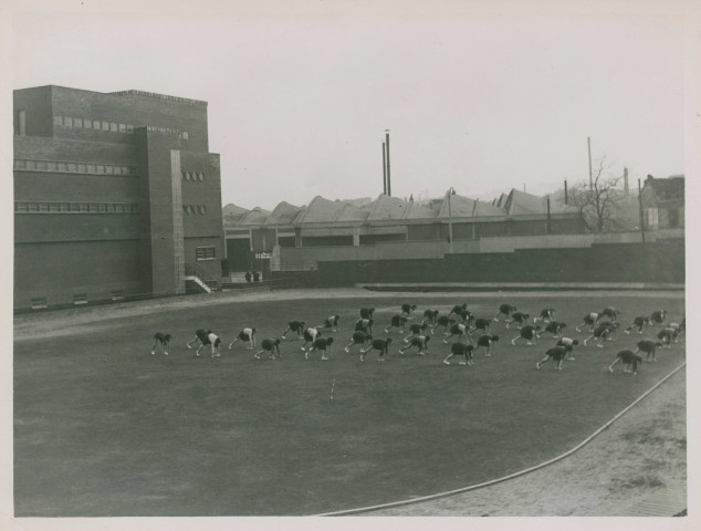 Jeunes filles faisant du sport sur le stade Sadi-Carnot : photographie noir et blanc.