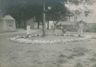 École de Plein-Air. - École provisoire, sieste en rond sous les arbres : photographie noir et blanc.